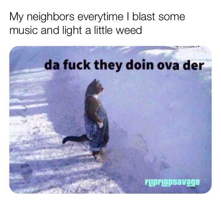 #memes  #funny  #dailymemes  #nonutnovember  #humor  #laugh  #okboomer  #funnymemes  #darkhumor  #weed  #bhfyp  #friends