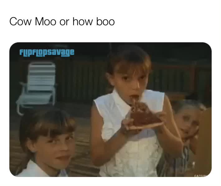#memes  #funny  #dailymemes  #humor  #laugh  #funnymemes  #darkhumor  #weed  #bhfyp  #friends  #nostalgia  #babyyoda