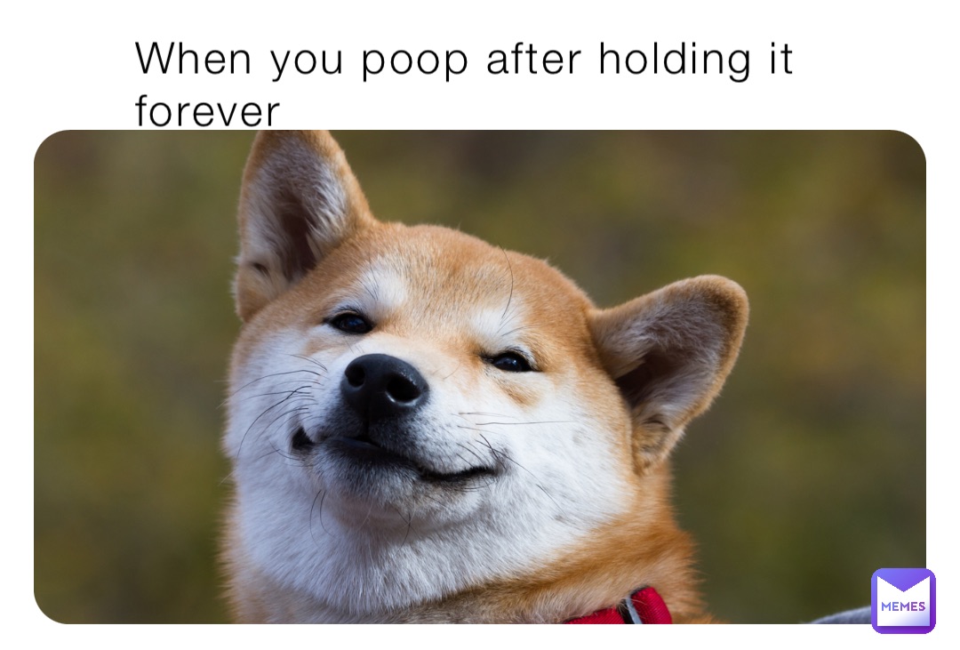 when-you-poop-after-holding-it-forever-kid-memerrrr-memes