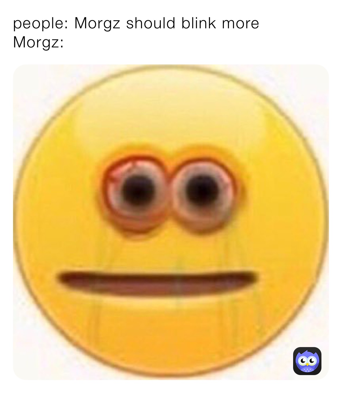 people: Morgz should blink more
Morgz: 