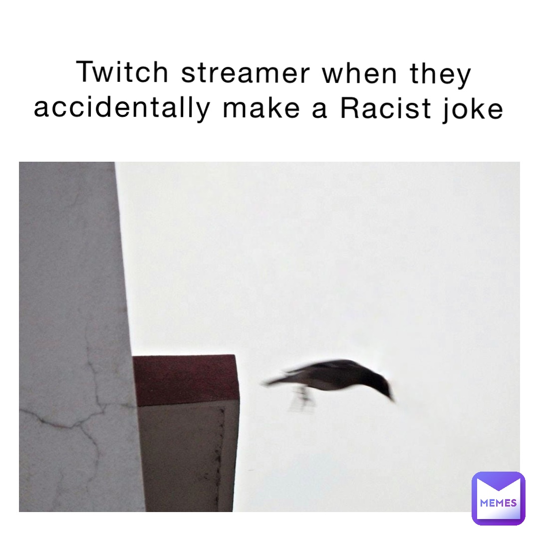 Twitch streamer when they accidentally make a Racist joke