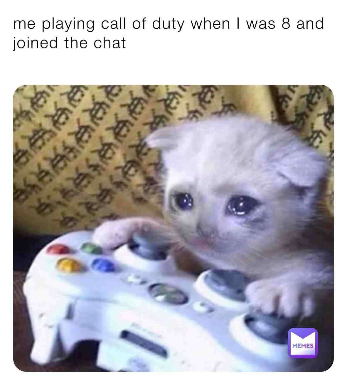 Meme shared by @OverhaulClone