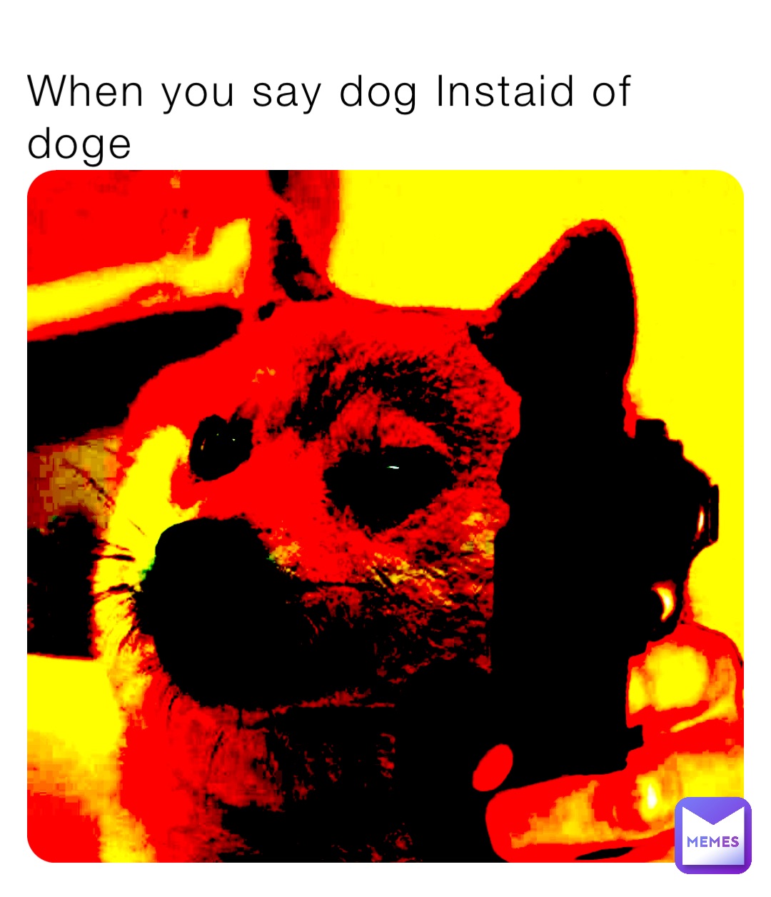 When you say dog Instaid of doge