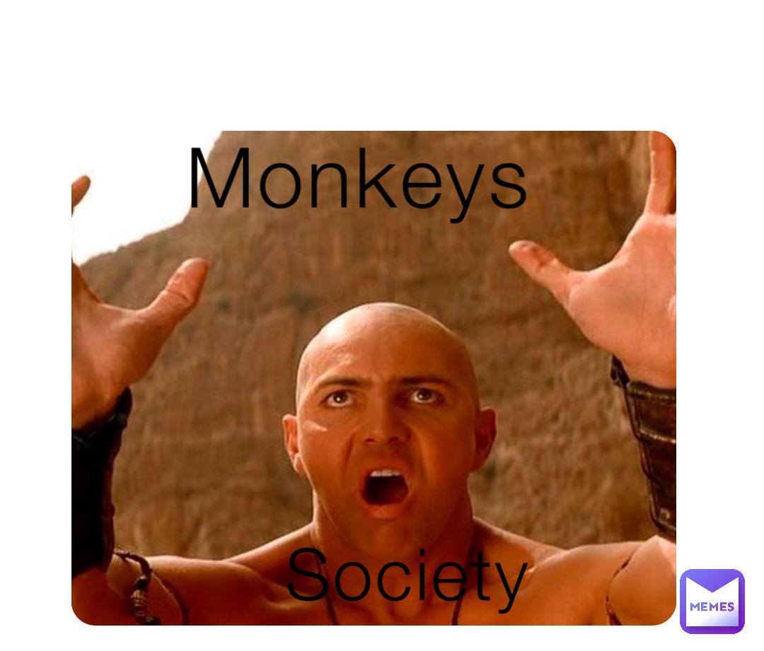 Society Monkeys
