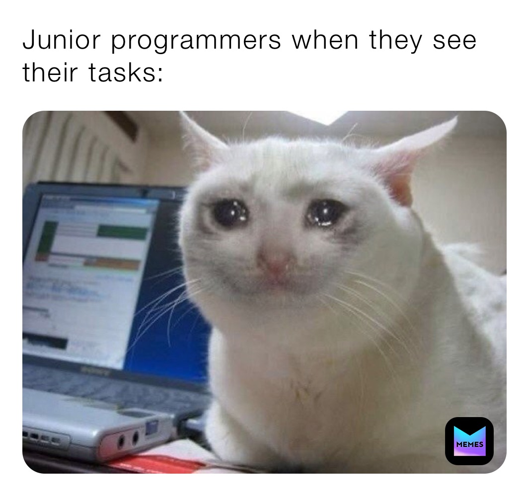 Junior programmers when they see their tasks: 