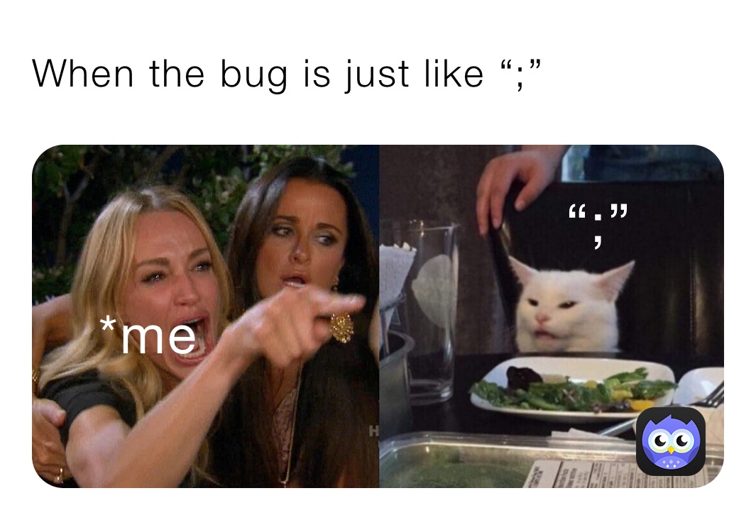 When the bug is just like “;”