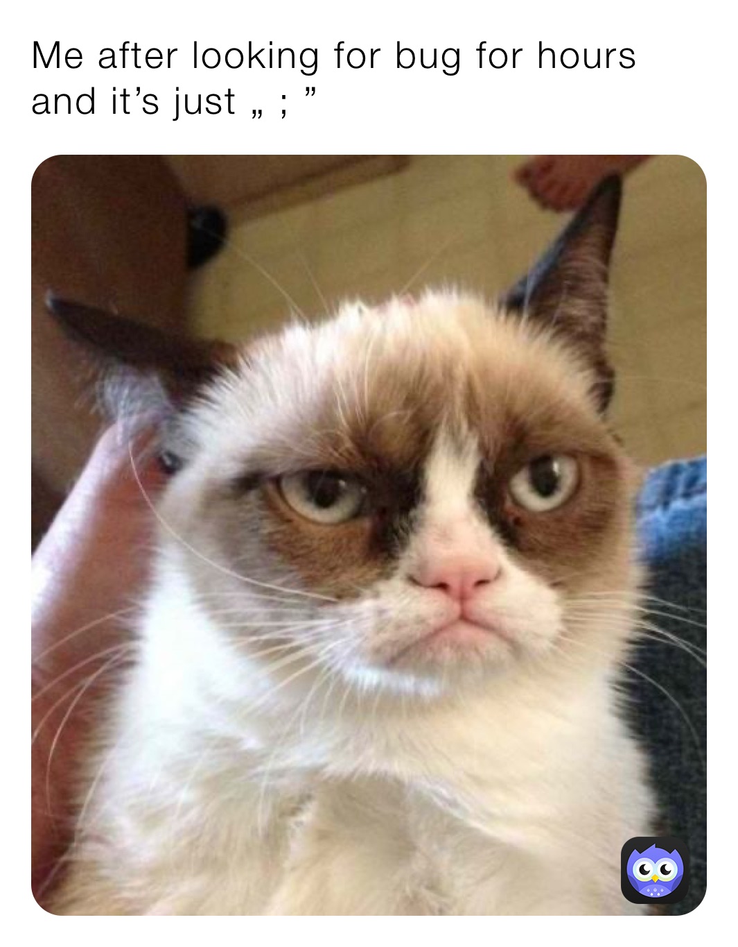 Me after looking for bug for hours and it’s just „ ; ”