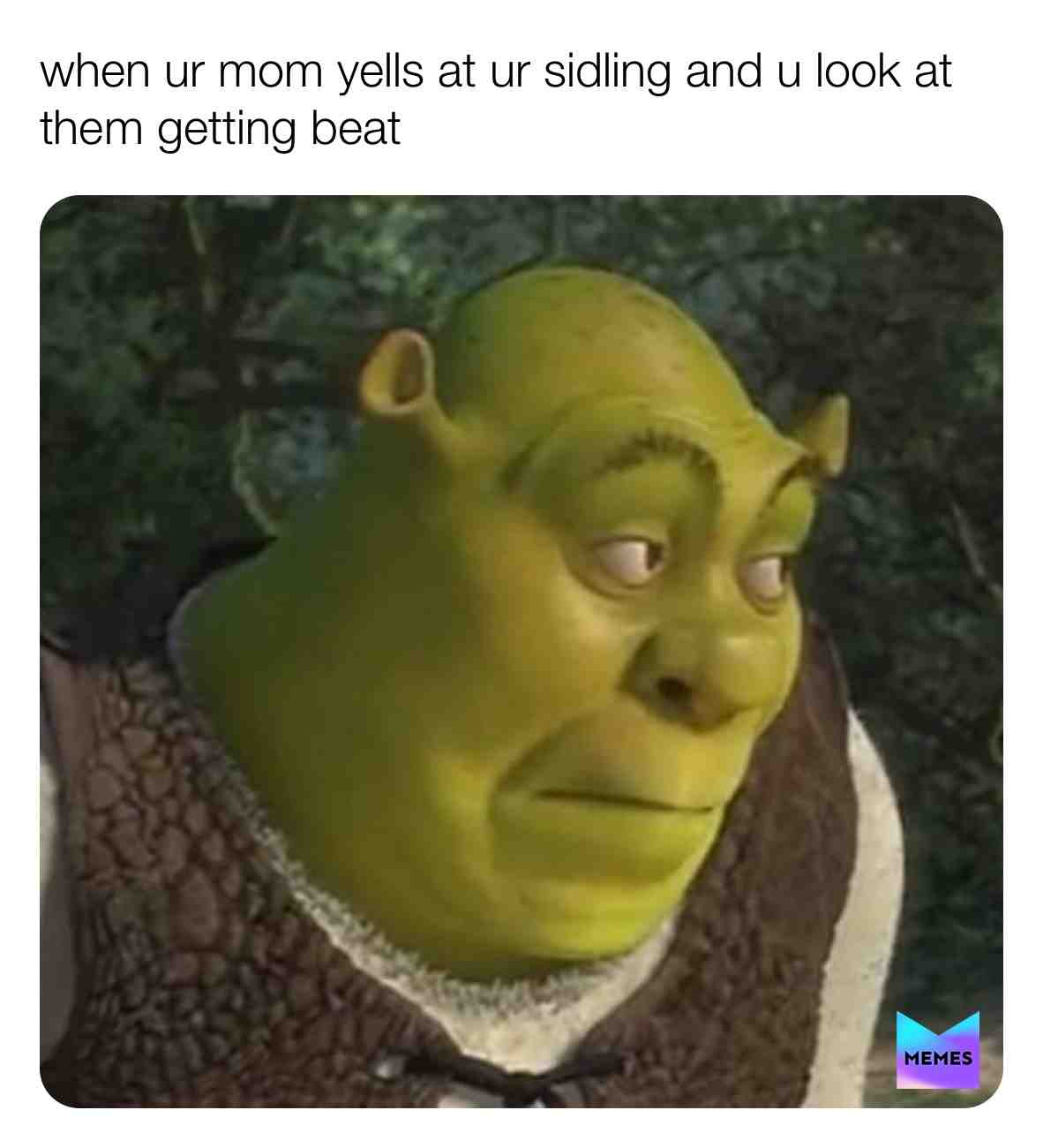 Meme shared by @meme_king_1234