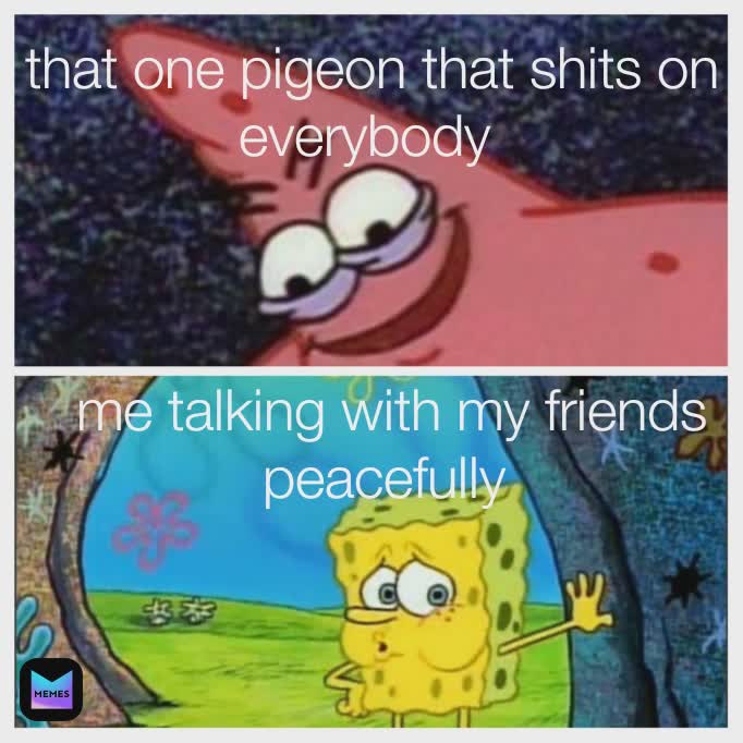 Meme by salma...Zaki.718