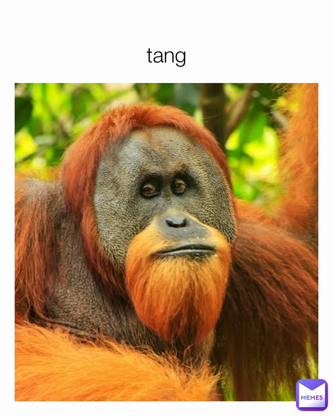 
tang