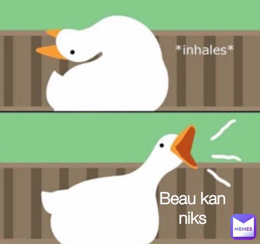 Beau kan niks