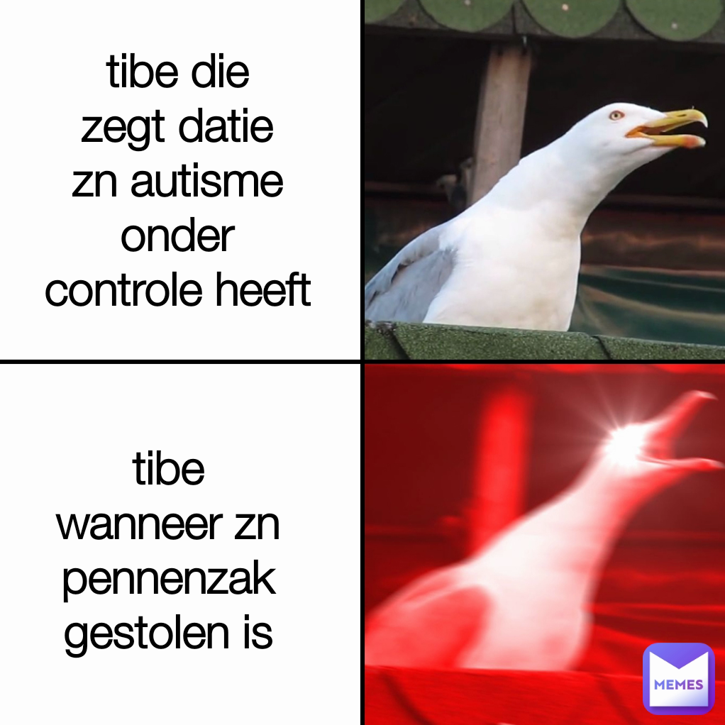 tibe wanneer zn pennenzak gestolen is tibe die zegt datie zn autisme onder controle heeft