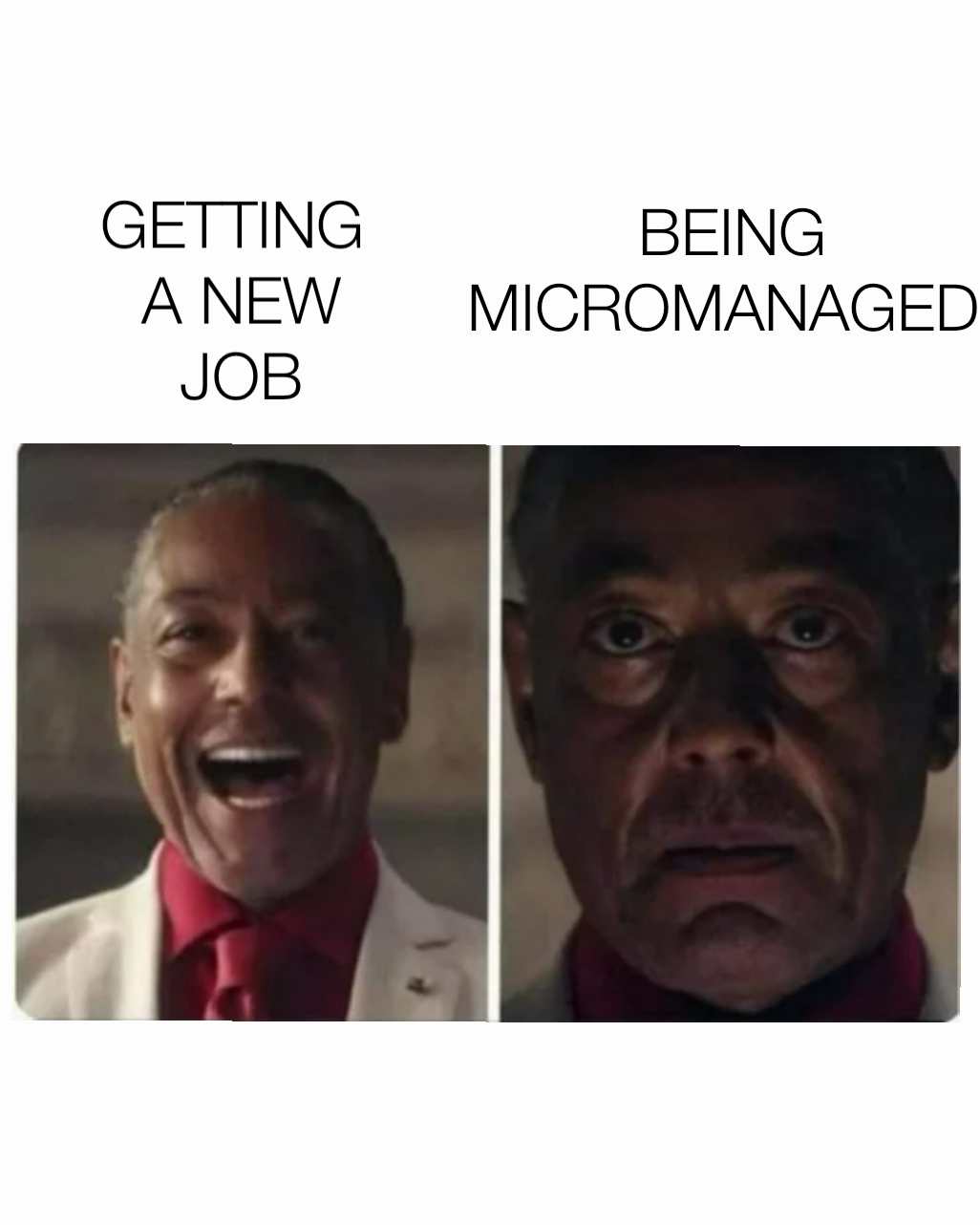 being-micromanaged-getting-a-new-job-julia-klymenko-memes