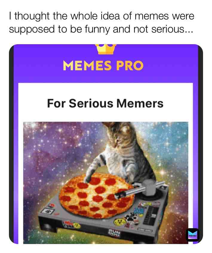  #memes #2020 #meme #cat #pizza #dj