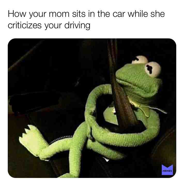 Bitch I know where the brake peddle is relax #mommeme #kermit #kermitthefrog #driving #meme # #relatable #fuckoff