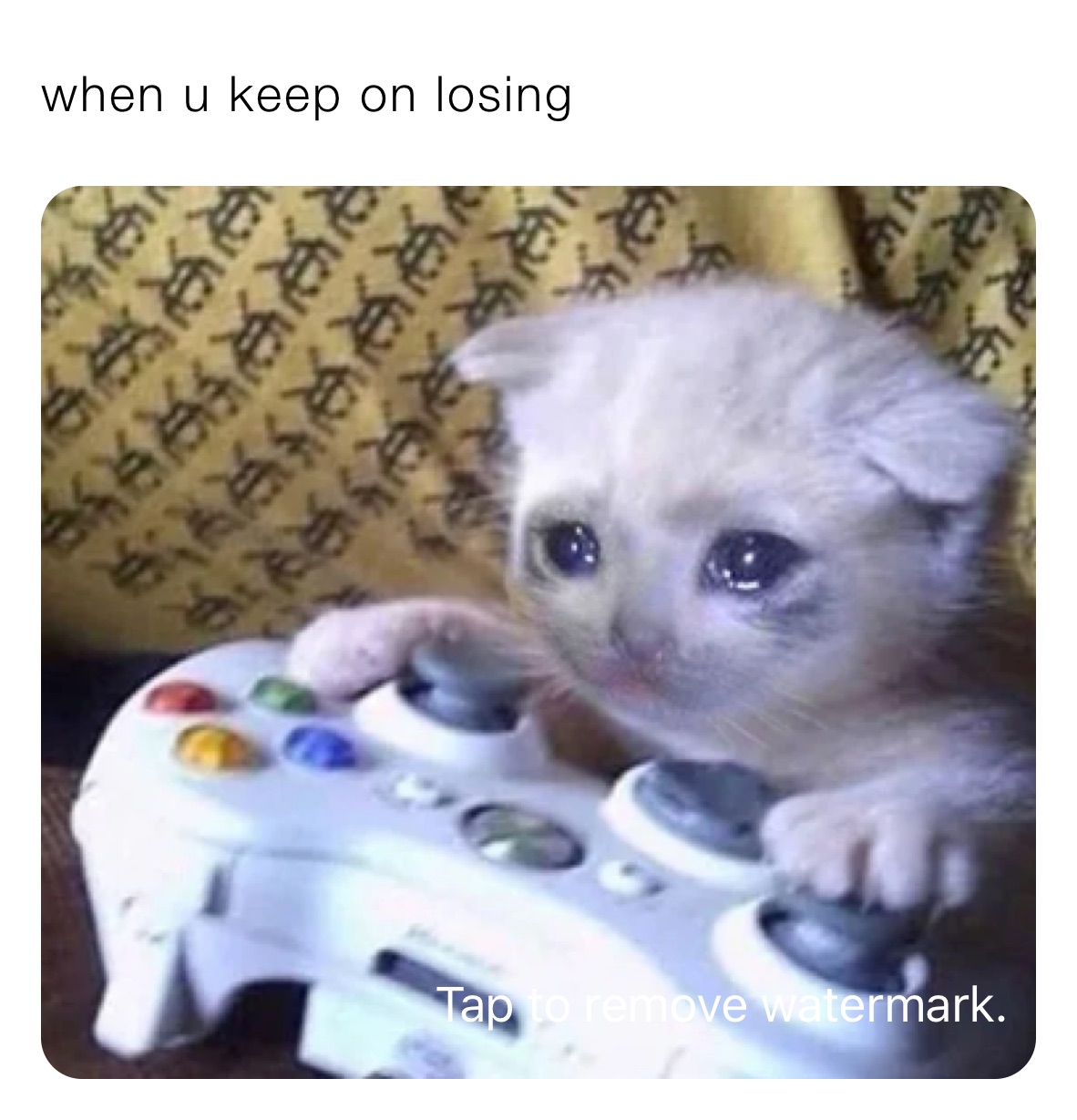 when u keep on losing