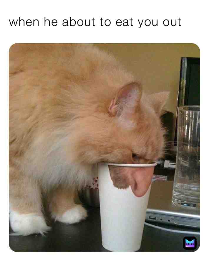 #memesdaily #offensivememes #dankmemes #funnymemes #memes #wap