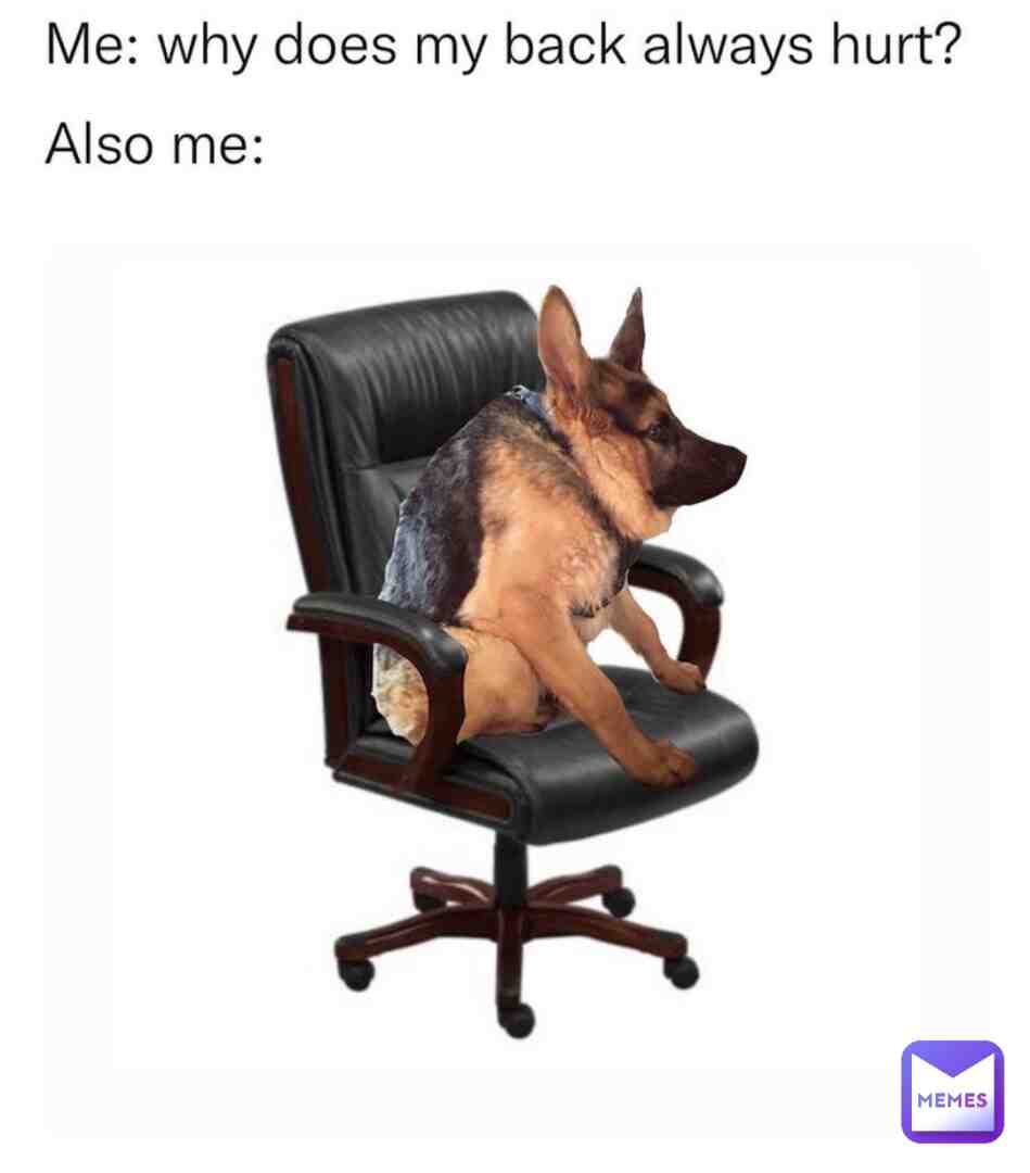 #memes #funny #memesdaily #dankmemes #offensivememes #funnymemes #dogmemes