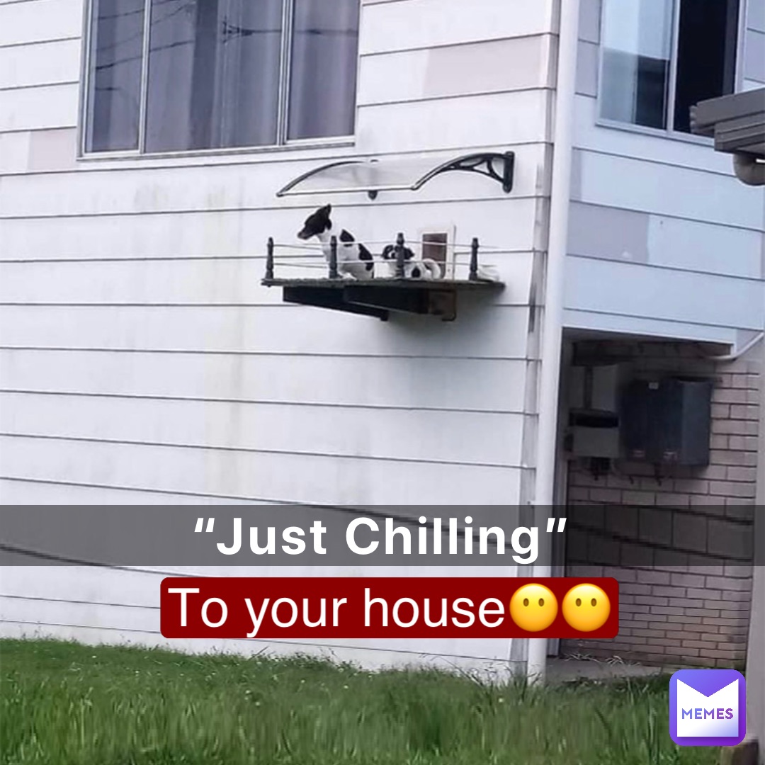 “Just Chilling” To your house😶😶