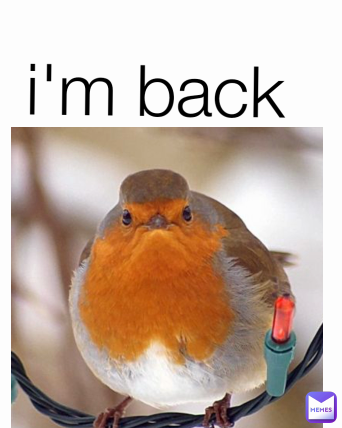 i'm back