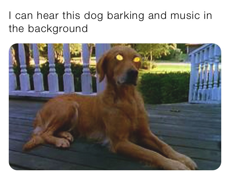 I can hear this dog barking and music in the background 