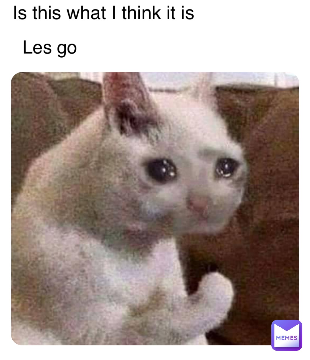 Meme by battledogpoopy