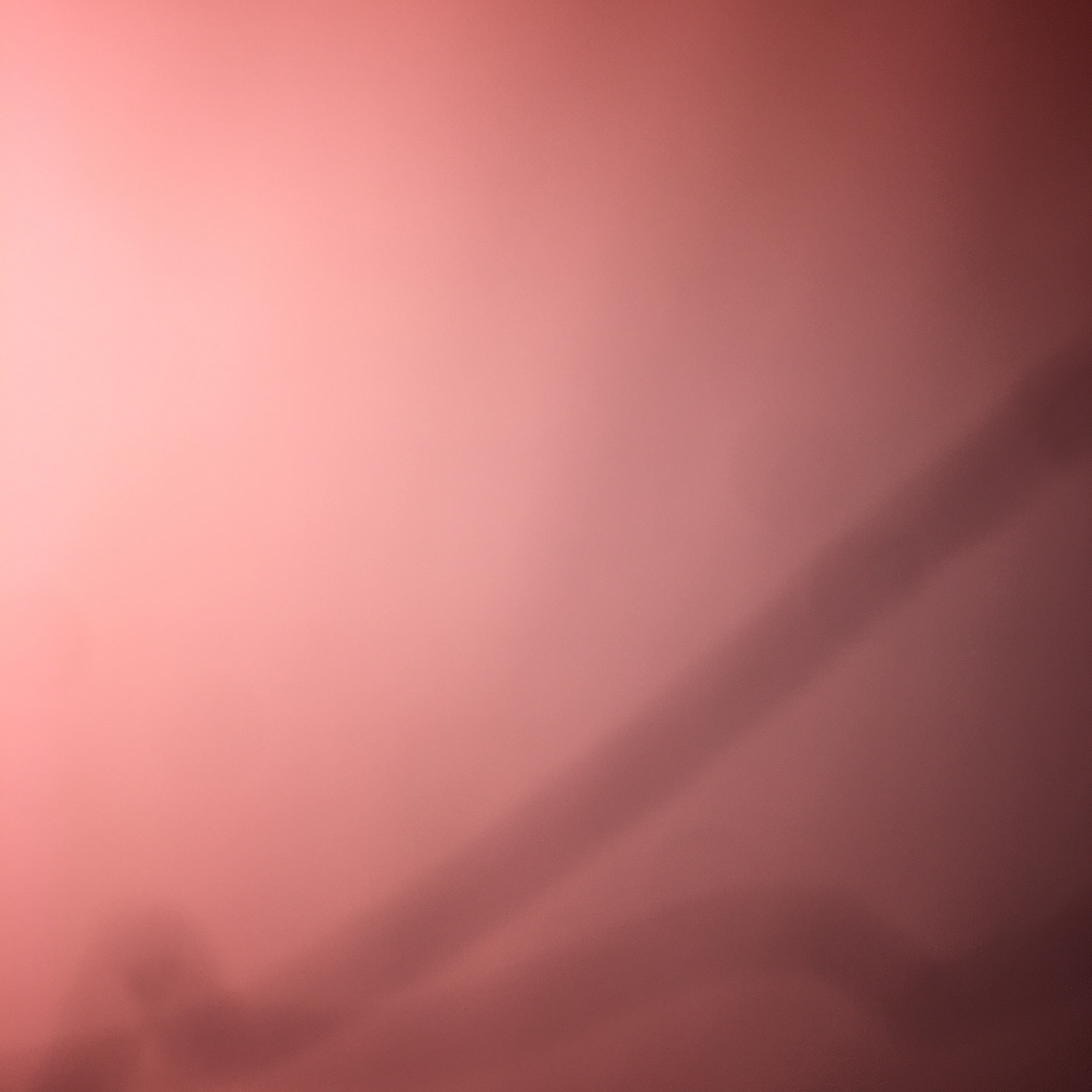 Meme by battledogpoopy