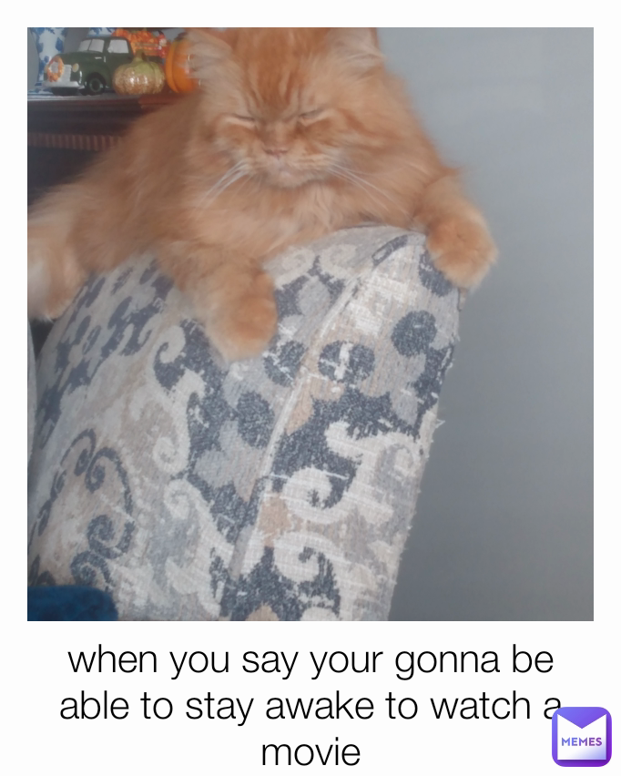 Meme by sallykrissy6