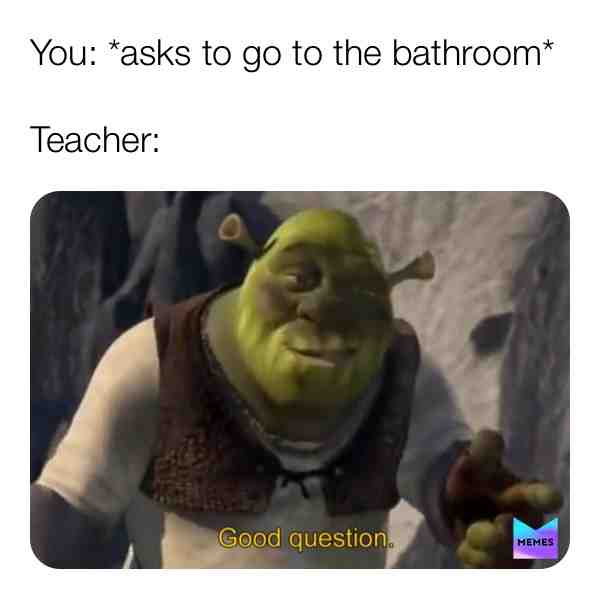 Bathroom shrek #shrek #dankmemes