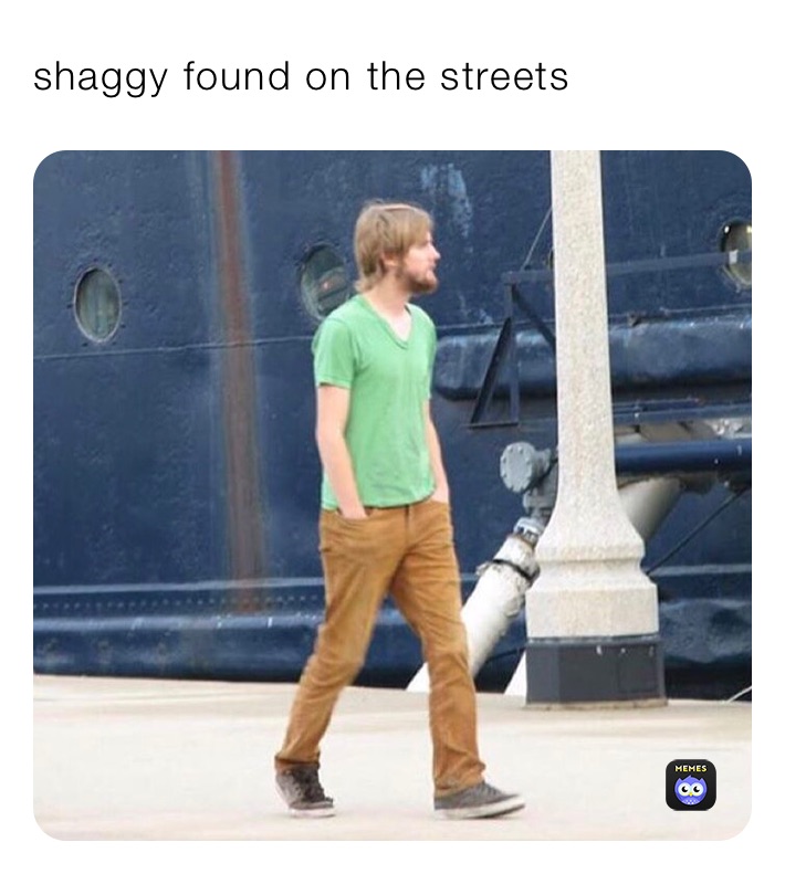 shaggy found on the streets