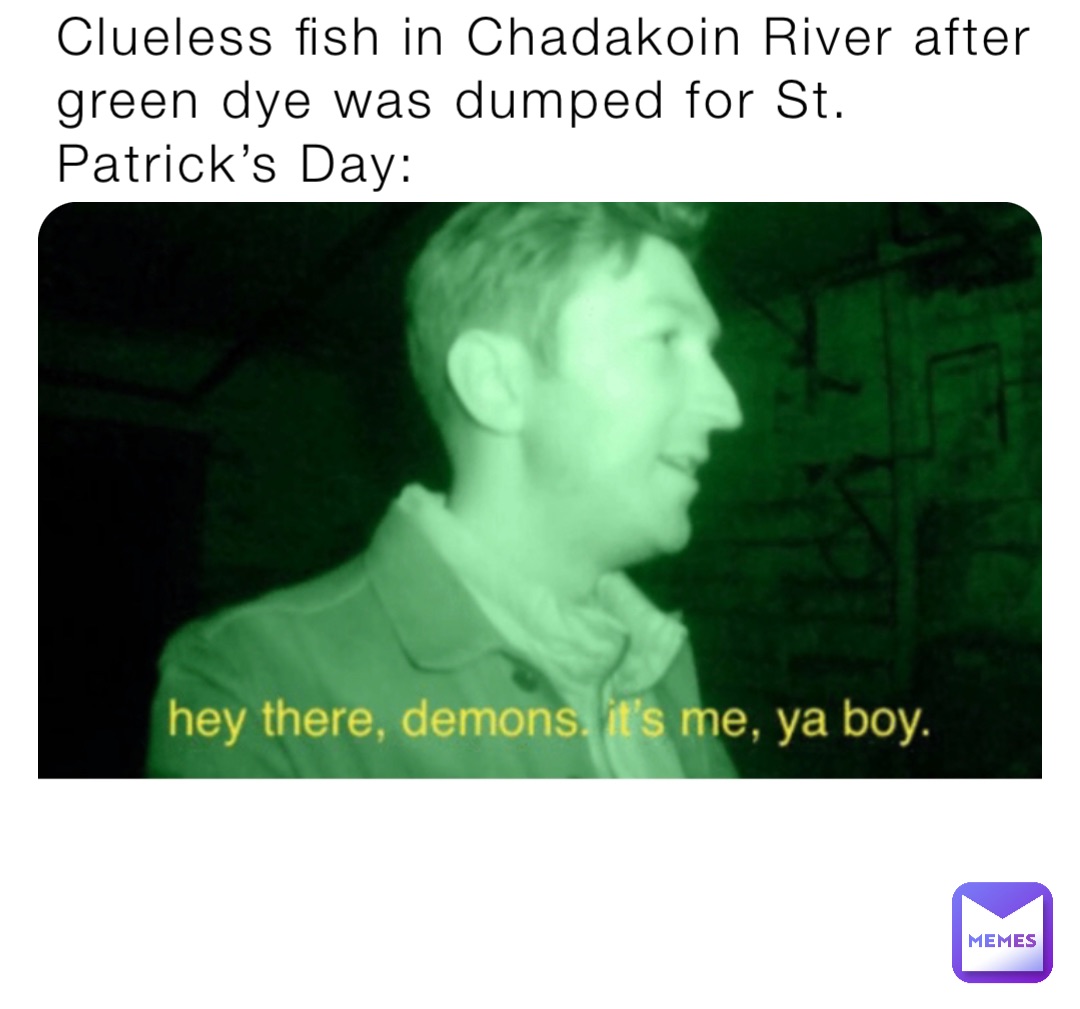 Clueless fish in Chadakoin River after green dye was dumped for St. Patrick’s Day: