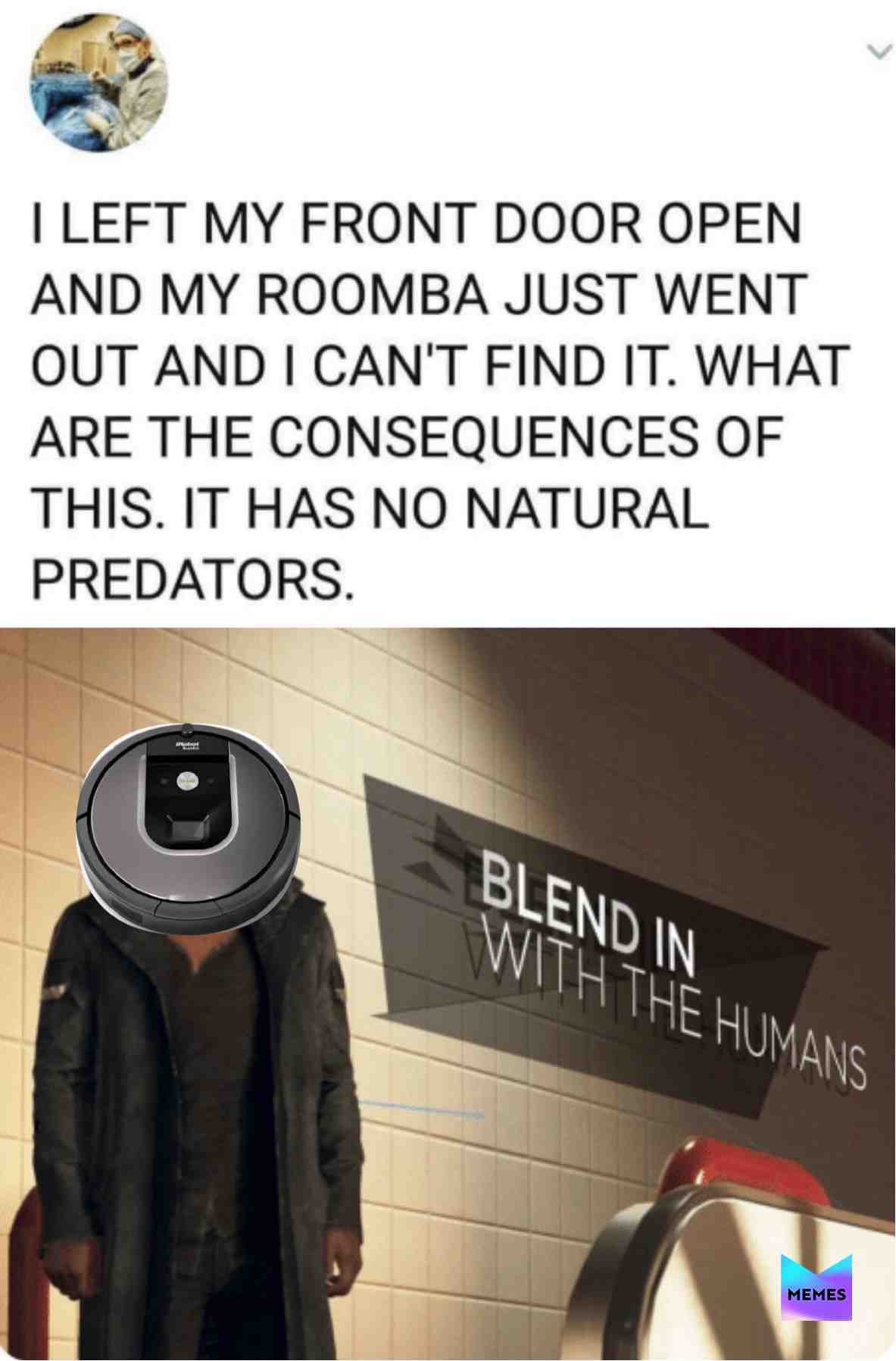 Meme preview