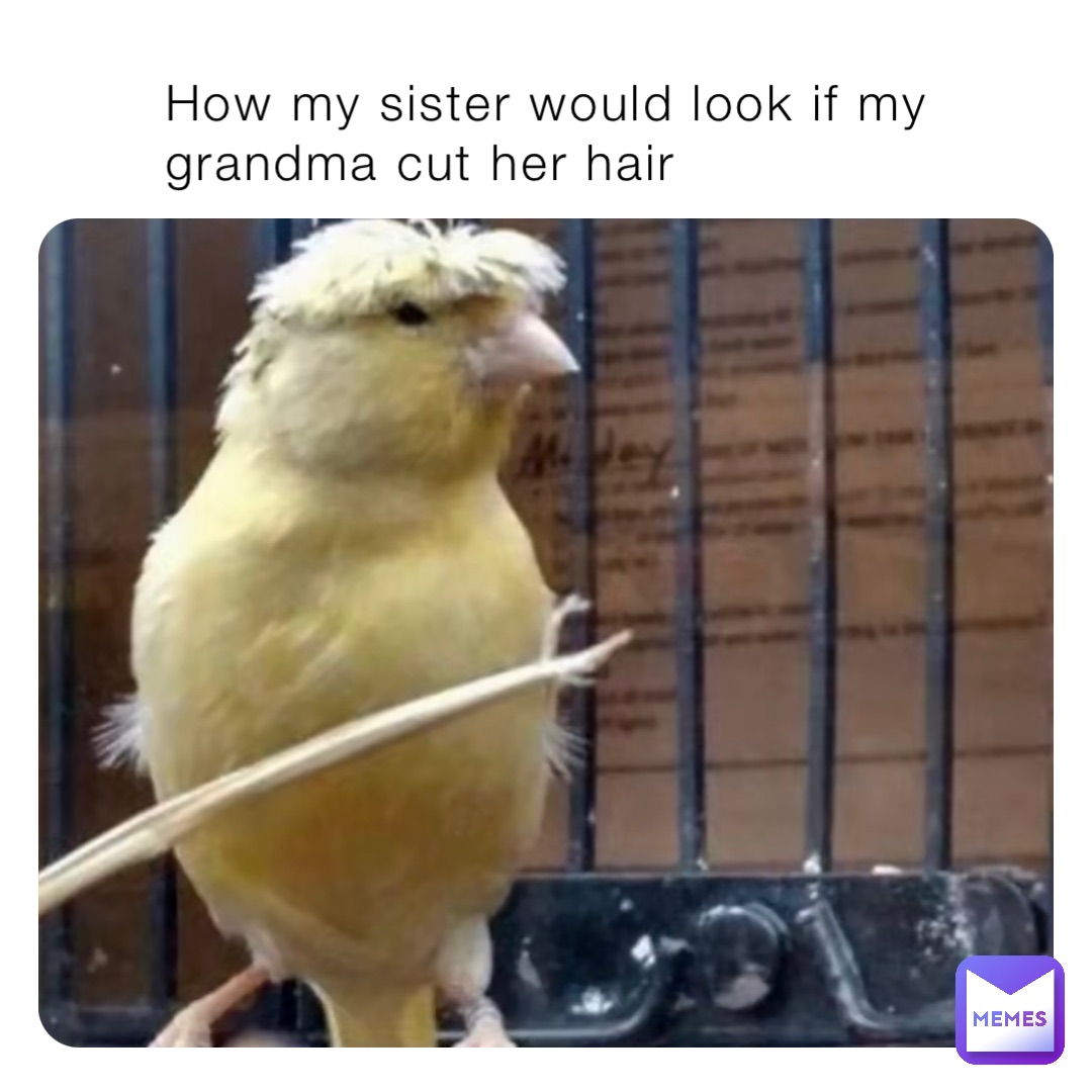 How my sister would look if my grandma cut her hair