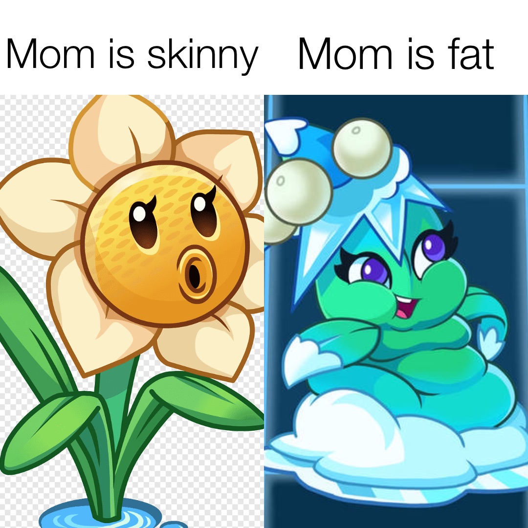 Mom is skinny Mom is fat