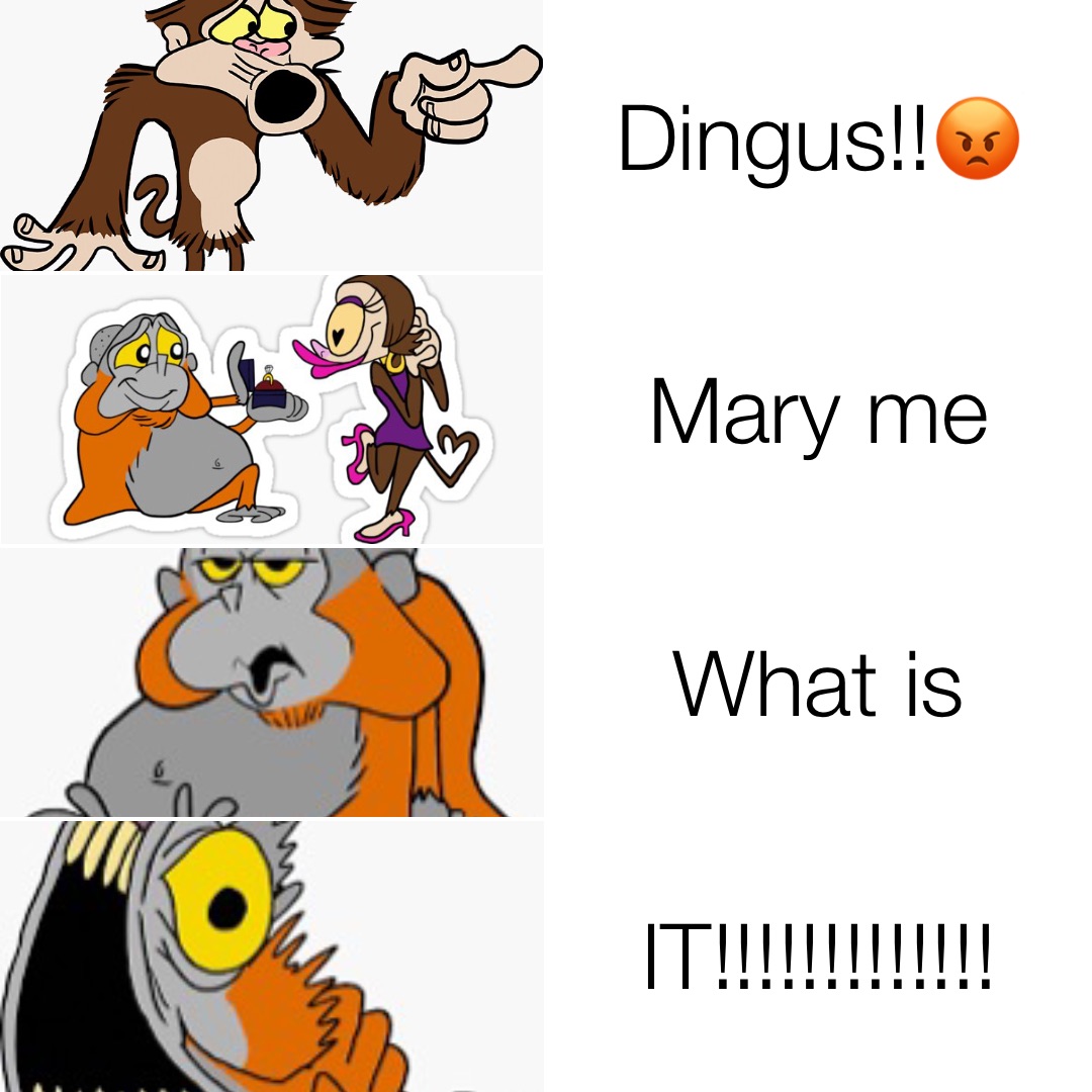 Dingus!!😡 Mary me What is IT!!!!!!!!!!!!!