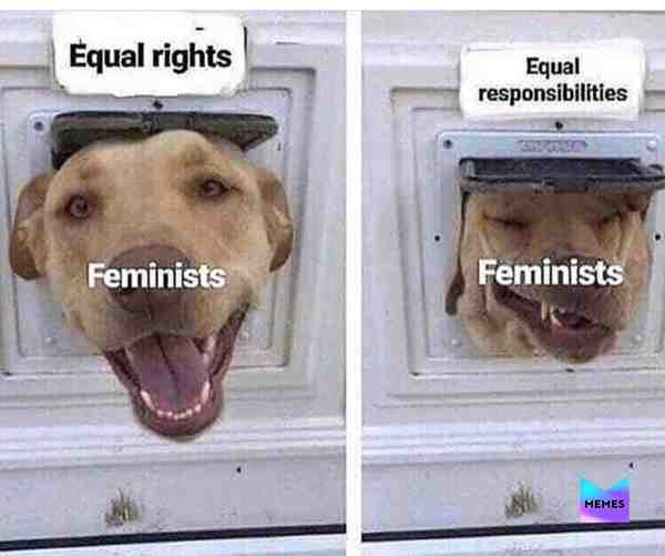#spicymemes #dankmemes #accurate