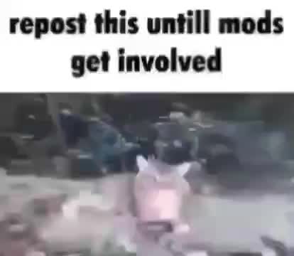 Everytime I see this I repost it help