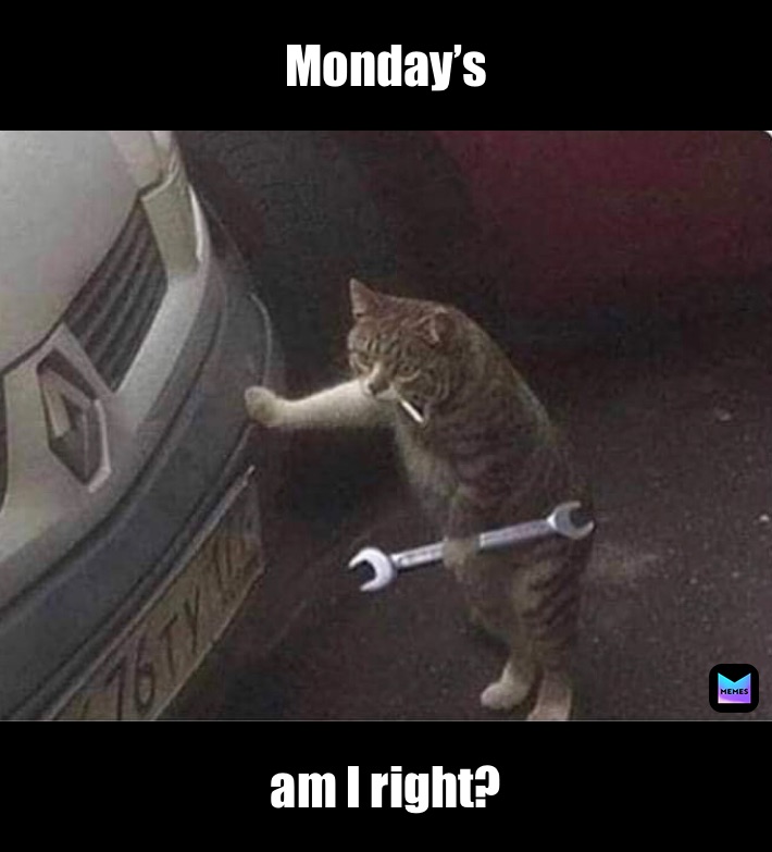 Meme by bruhishitpost