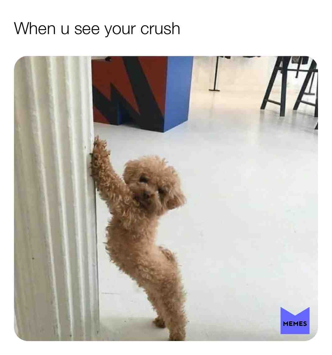 #pose