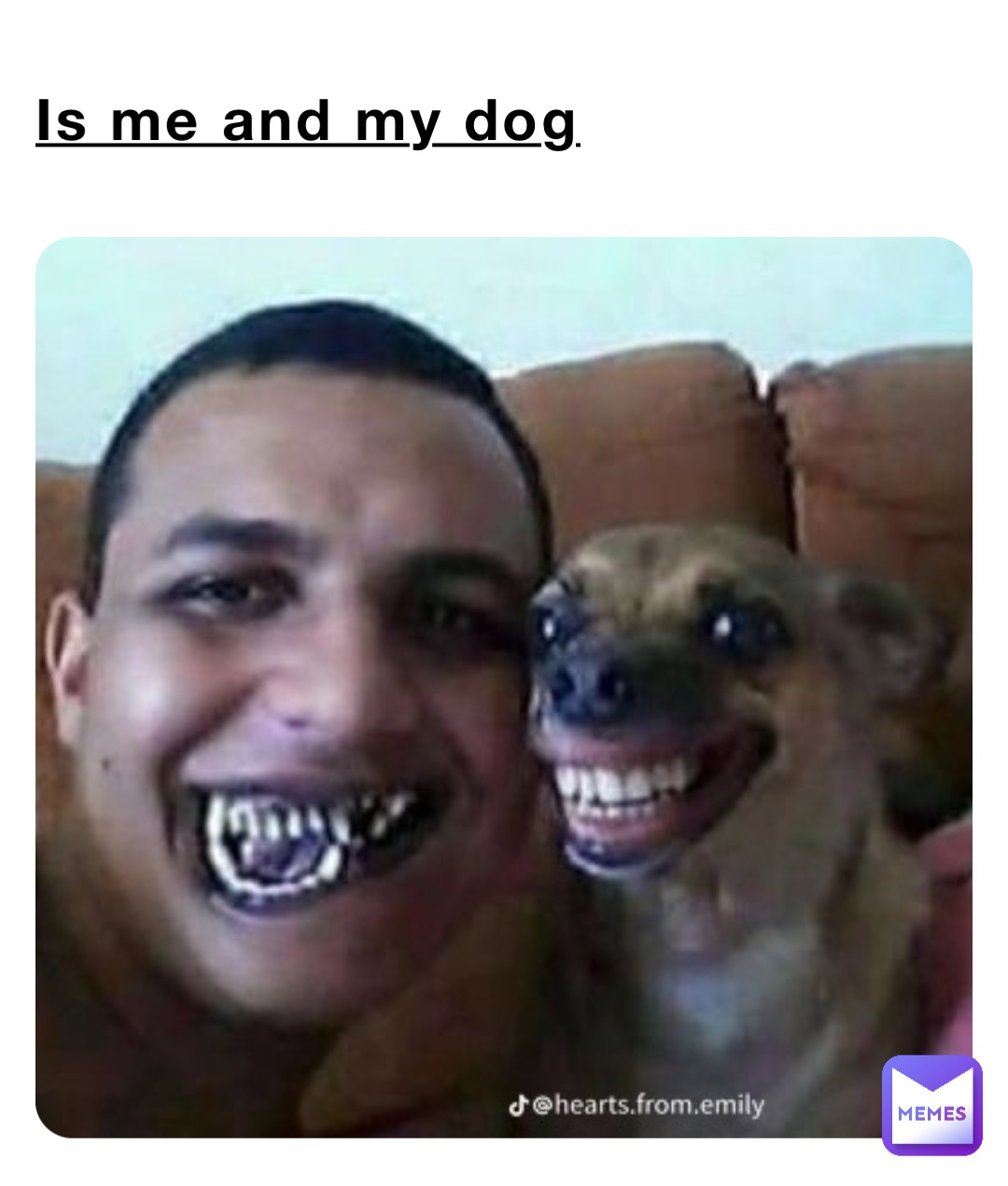 Is me and my dog | @mimo_king | Memes