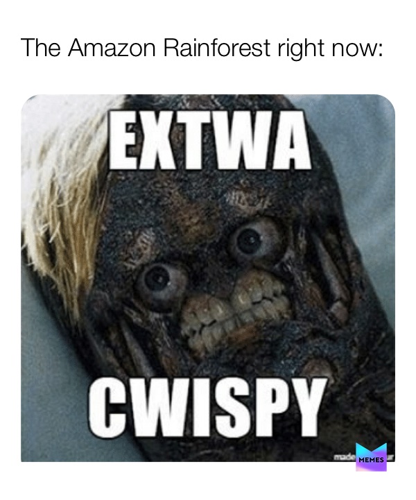 Meme by shadoothememer