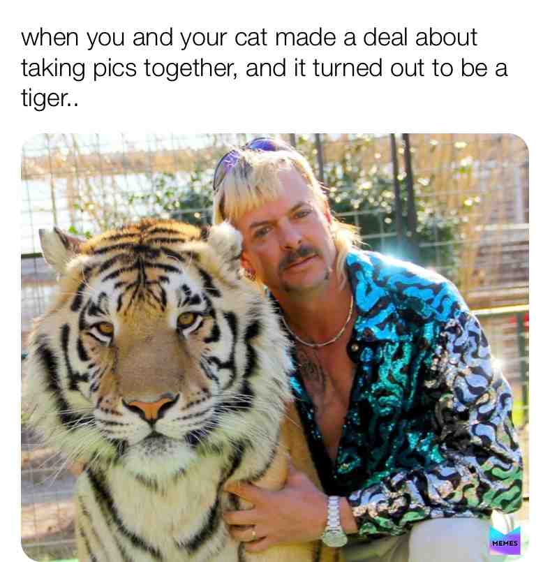 Meme shared by @Allyson_solway_xox