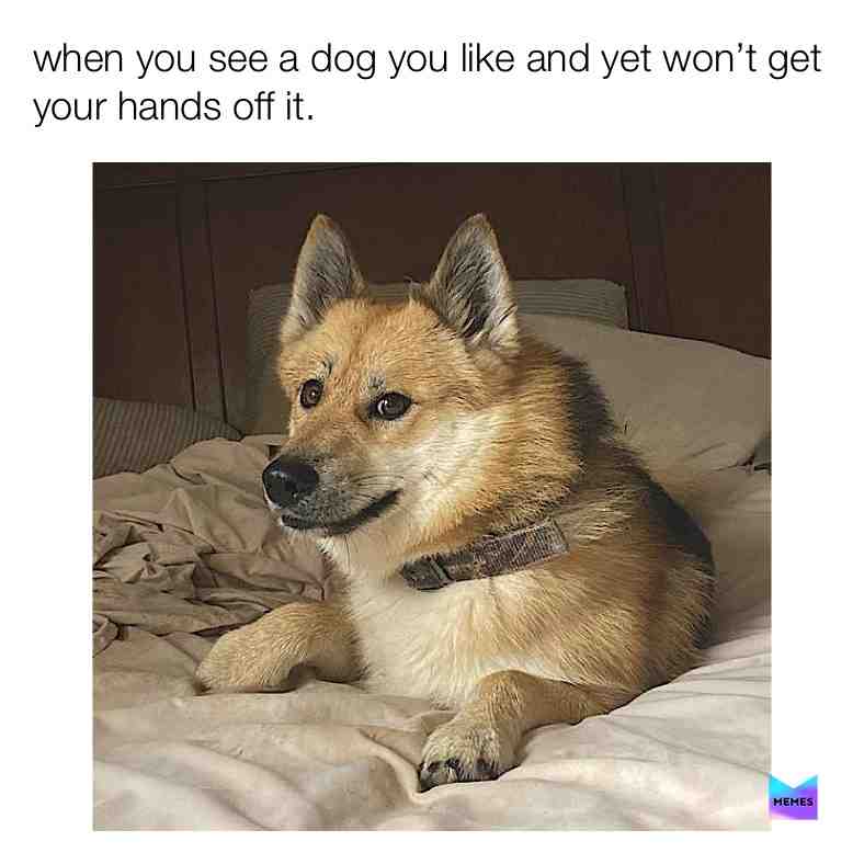 So cute