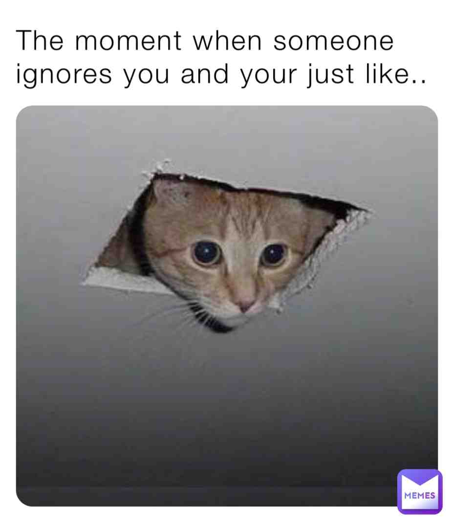 Anyone in there? #funny #cats #ignoring