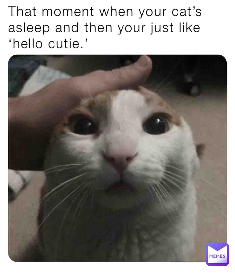 So cute. ❤️❤️❤️
