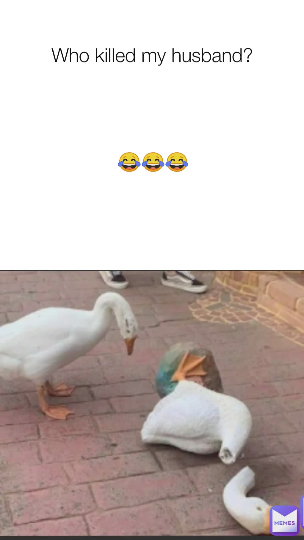 Meme by psihoboyyy13