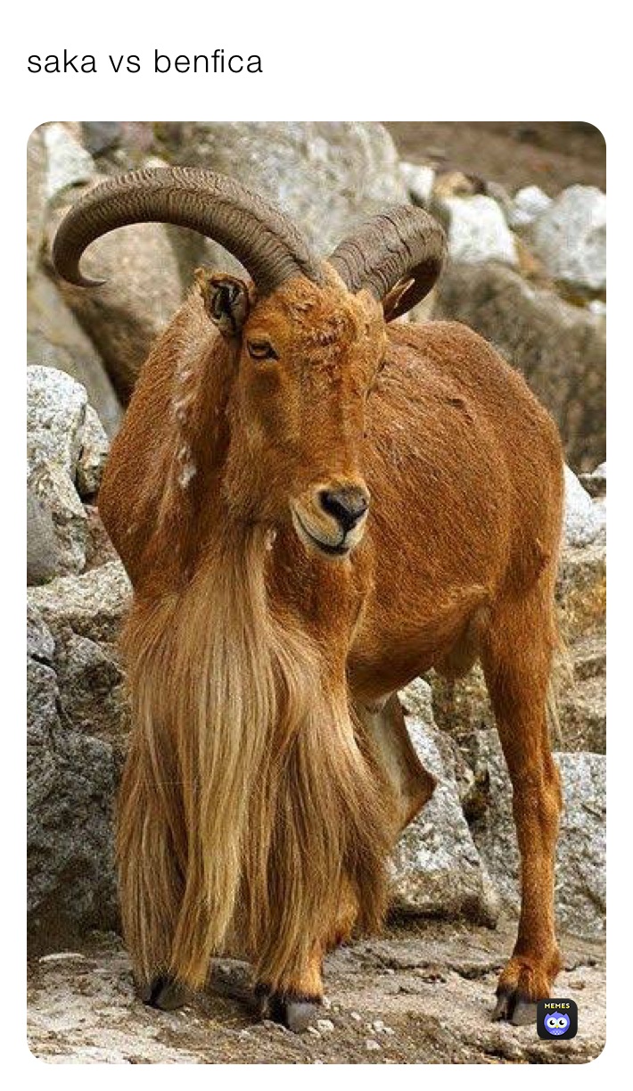 Meme by lori_1610184142