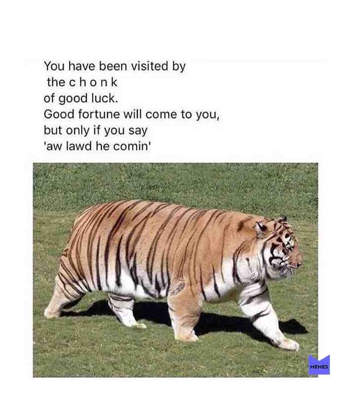 #tigermeme