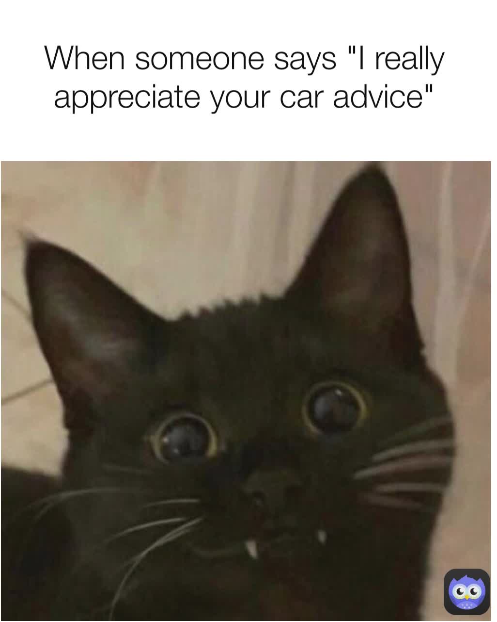 When someone says "I really appreciate your car advice"