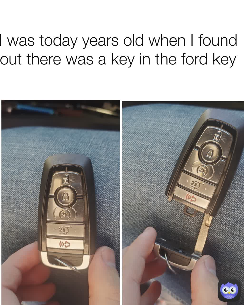 I was today years old when I found out there was a key in the ford key